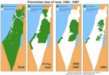 “The government needs to recognise the state of Palestine immediately, whilst there is still a state left to recognise.”