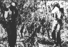 Former Israeli Prime Minister hanged two British Sergeants and booby trapped their bodies.