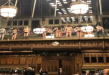 Parliament just got a little bit more nuts naked protesters