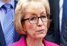 Commons leader Andrea Leadsom quits government over Brexit