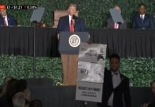 Trump: Celebration on birth of American democracy and free speech has protester carries out the right to free speech