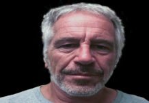 Jeffrey Epstein: Billionaire sex offender, commits suicide