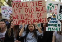 Climate strikes sweep the globe