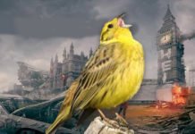 No-deal Brexit: Operation Yellowhammer
