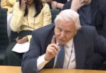 Sir David Attenborough: people in the UK are “fed up” with the EU “there had to be a change, one way or another”.